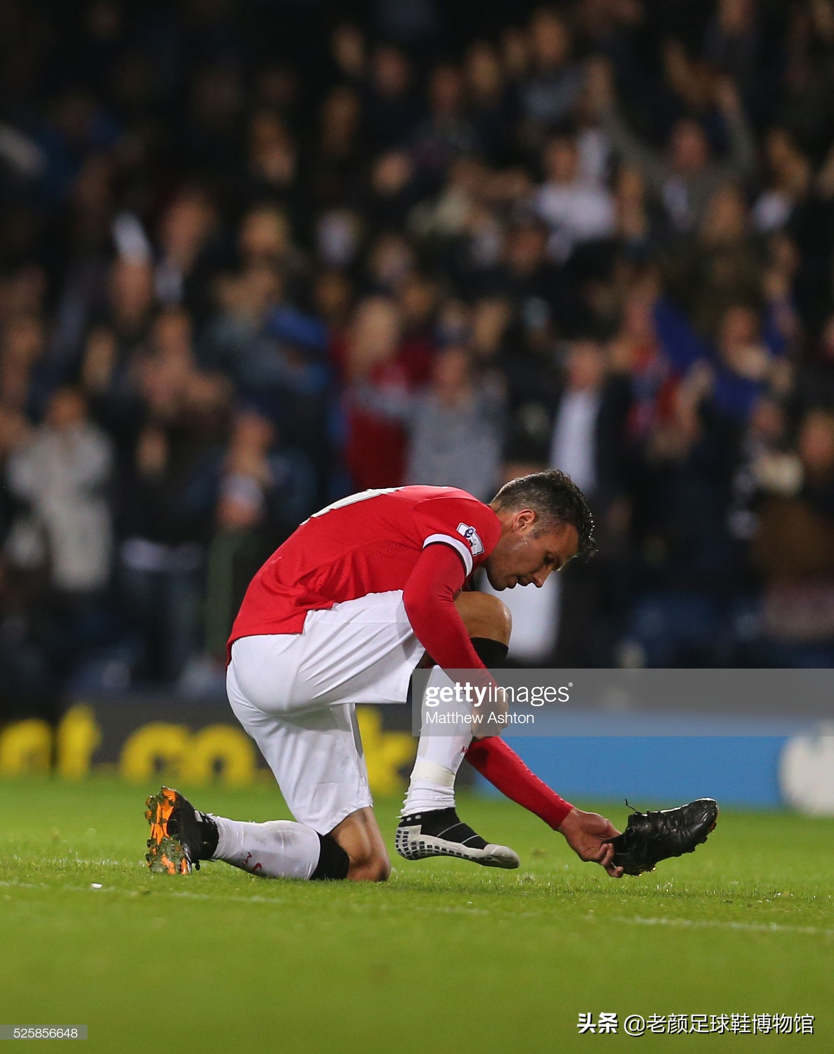 虎队封王引爆关西热潮 3000人排队塞爆阪神百货｜日职